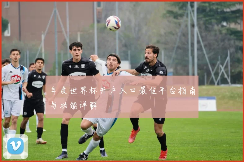 年度世界杯开户入口最佳平台指南与功能详解